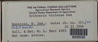 Image Associated With the Occurence